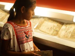 La cochinilla fue otro de los pigmentos encontrados en el estudio, su utilización brindo un color rojo en el Códice. NTX/ARCHIVO
