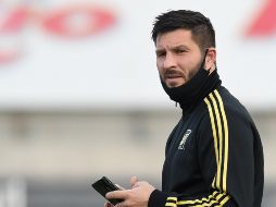Gignac descartó tener diferencias con el ''Piojo'' Herrera, quien arribó a Tigres este torneo en lugar del brasileño Ricardo ''Tuca'' Ferretti. IMAGO7