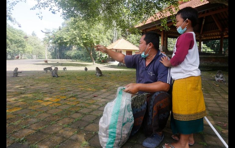 Los habitantes temen que los animales se vuelvan salvajes y violentos en su intento por conseguir alimentos. AP/F. Lisnawati