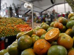 El principal destino de las ventas al exterior de las frutas cítricas mexicanas es Estados Unidos, seguido de Países Bajos, Japón, Alemania y Reino Unido. EL INFORMADOR/ARCHIVO