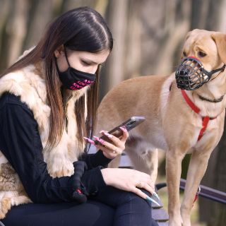 ¿Pueden los perros transmitir COVID-19 a los humanos?