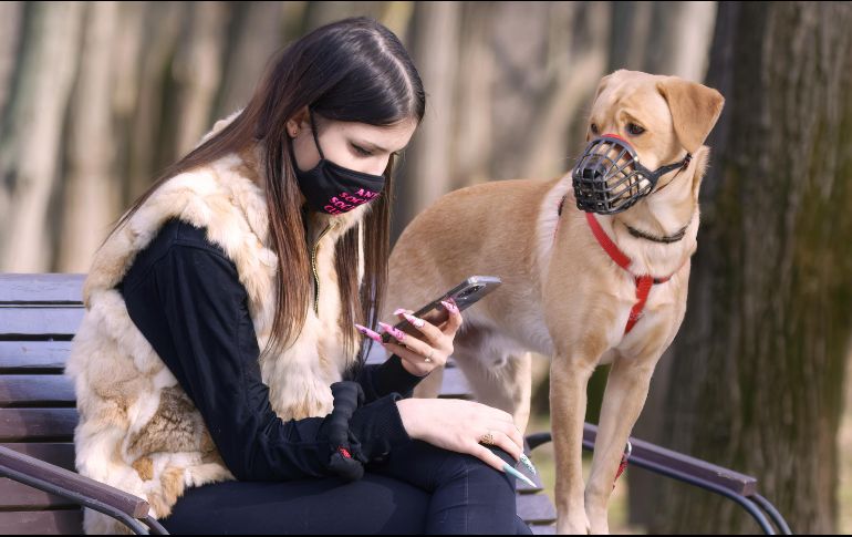 Contagios. A pesar de que pueden ser infectados los animales por los humanos, a su vez es nula la propagación de la COVID-19 de éstos a humanos u otras especies. Especial