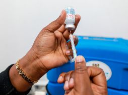 Esta semana enviarán 300 mil dosis de vacunas a Honduras y Bolivia y 