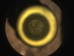 Esta no ha sido la primer muestra que se intenta recabar. INSTAGRAM/ @nasa