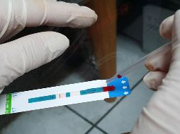 El Fondo Mundial invierte en una lista de más de 100 países. EL INFORMADOR/ARCHIVO