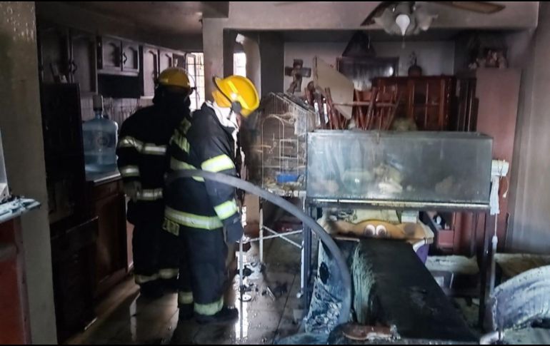 El incendio se registró en la colonia El Zalate, en el cruce de las calles José Luis Velázquez y Pedro Sánchez. ESPECIAL /