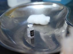 El gobierno de Estados Unidos volvió a discrepar este miércoles con la posición de la OMS y defendió la aplicación de una dosis extra. EFE/ARCHIVO