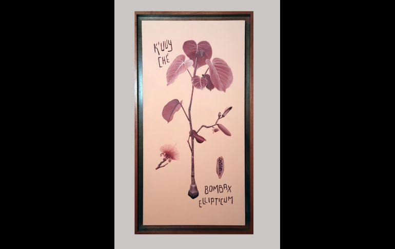 Obra de Carlos A. Mora