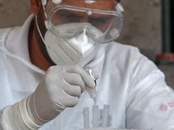 A más de un año de contingencia, hay municipios como Ejutla, Santa María del Oro y San Martín de Bolaños donde no se ha confirmado ninguna muerte por COVID. EL INFORMADOR/A. Camacho