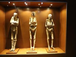 Académicos, activistas y especialistas buscan que las momias no sean reubicadas. ESPECIAL