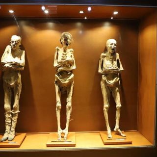 Piden proteger a las momias de Guanajuato