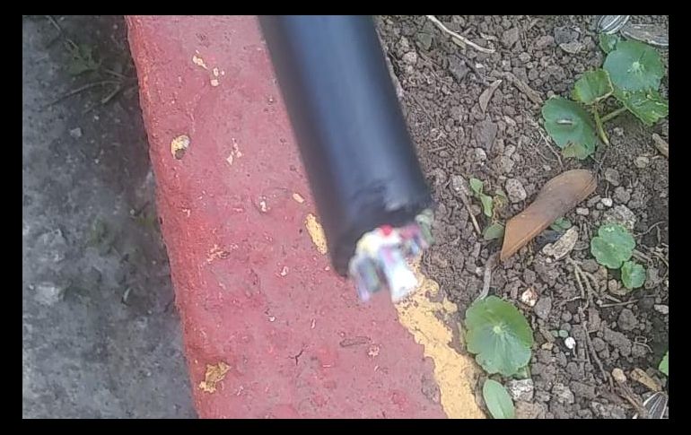 Megacable detalla que ya cuenta con denuncias presentadas por los cortes intencionales del servicio. ESPECIAL