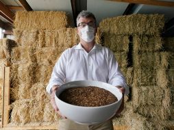 En seis meses, el cuerpo, las virutas de madera y la paja se transformarán en suficiente tierra para llenar la batea de una pickup. AP/T. Warren
