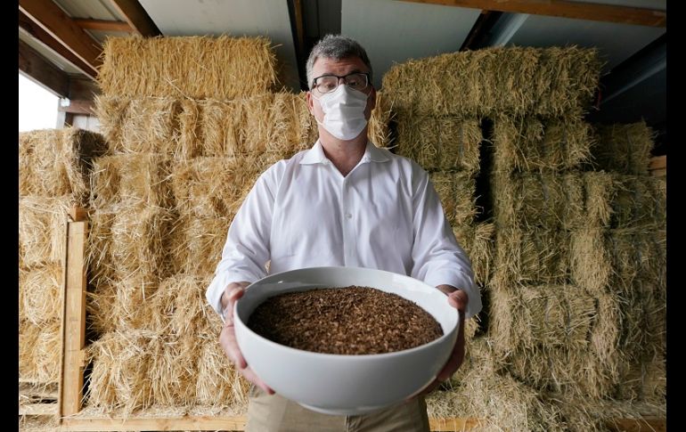 En seis meses, el cuerpo, las virutas de madera y la paja se transformarán en suficiente tierra para llenar la batea de una pickup. AP/T. Warren