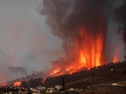La erupción del volcán en La Palma tiene dos fisuras, separadas unos 200 metros, y ocho bocas por las que emerge la lava. AFP/D. Martin