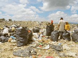 Antigüedad. De acuerdo con trabajadores consultados por este medio,  el basurero cercano al ANP de La Primavera opera desde hace 13 años y está en etapa de ampliación. Actualmente recibe los residuos de Huaxtla, El Arenal y Tala. El Informador/ A. Camacho