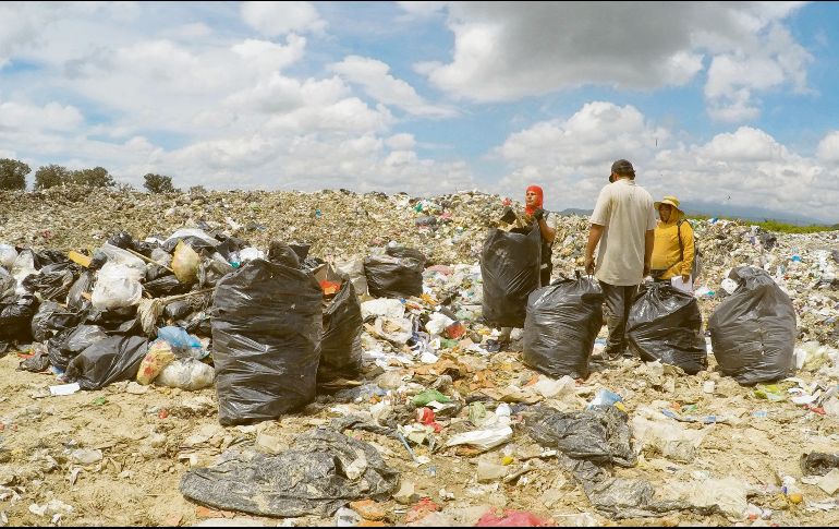 Antigüedad. De acuerdo con trabajadores consultados por este medio,  el basurero cercano al ANP de La Primavera opera desde hace 13 años y está en etapa de ampliación. Actualmente recibe los residuos de Huaxtla, El Arenal y Tala. El Informador/ A. Camacho