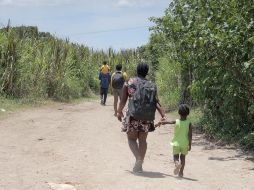 El anuncio ocurre en medio de la repatriación de miles de migrantes que han cruzado la frontera de Estados Unidos desde México. EFE/J. Blanco