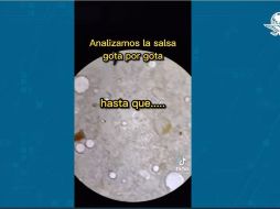 YOUTUBE/ EL UNIVERSAL