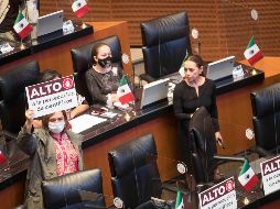 Las denuncias hacia los científicos ha causado indignación en distintos sectores, como en el Senado. SUN /  G. Espinosa