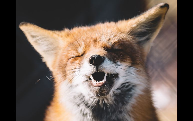 Peter Lloyd en Unsplash