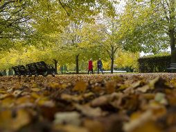 En el parque londinense, donde se sospecha que ocurrió el asesinato, la comunidad vecinal de Kidbrooke organizó un acto de recuerdo junto con el movimiento Reclaim These Streets. XINHUA / ARCHIVO