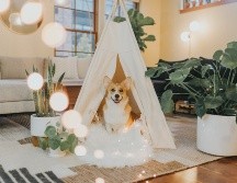 UNSPLASH /COLE KEISTER