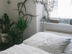 UNSPLASH/ JAY WENNINGTON