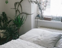 UNSPLASH/ JAY WENNINGTON