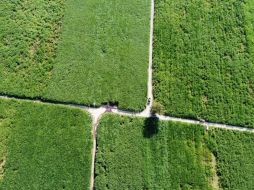 La toma fue localizada en una brecha ubicada entre San Juan de Los Arcos y Cuisillos. ESPECIAL /