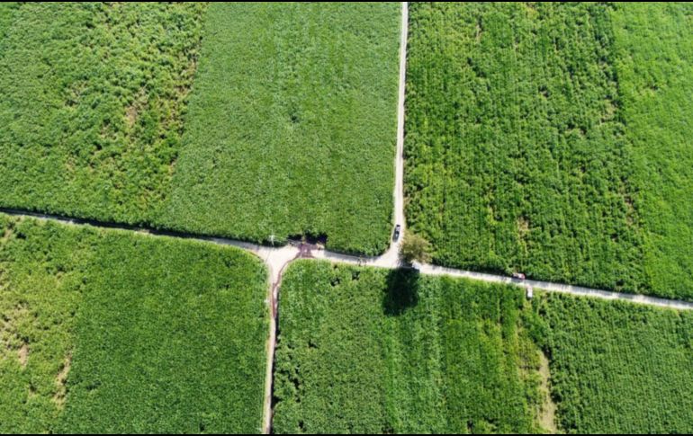 La toma fue localizada en una brecha ubicada entre San Juan de Los Arcos y Cuisillos. ESPECIAL /