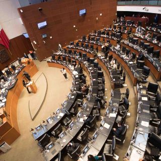 Senado rechaza nuevo grupo parlamentario de varios partidos