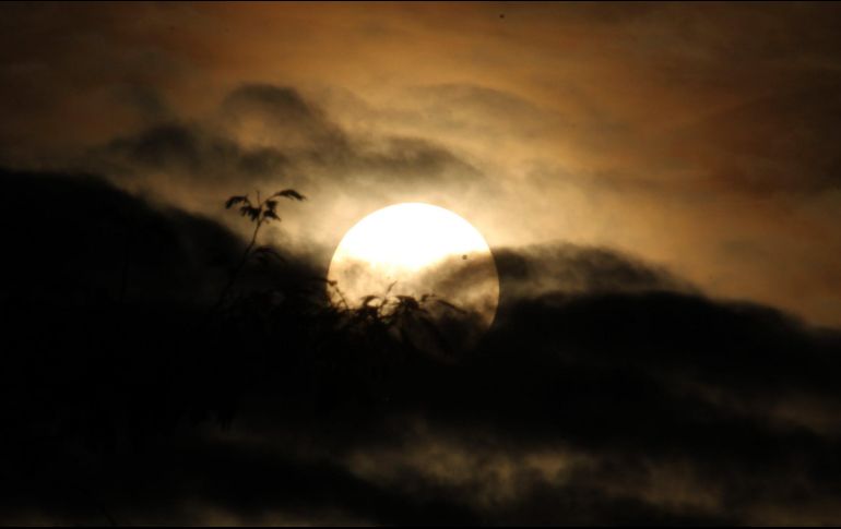 En octubre ocurrirá una lluvia de estrellas Oriónidas, se podrán ver hasta 20 estrellas por hora en su mejor momento. NTX/ARCHIVO