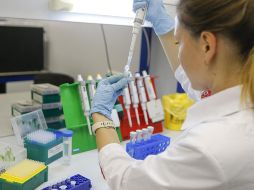 La igualdad de género está lejos de alcanzarse en el rango de empleos con las mejores remuneraciones. XIHNUA/Archivo