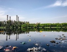 El interés por ampliar la participación de Latinoamérica en esta campaña recae en que menos del 15% de los integrantes de RTZ pertenece a esta región. PEXELS