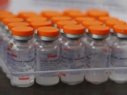 Aproximadamente 30 millones de personas recibieron al menos una dosis en Argentina, donde la vacuna no es obligatoria. EFE/ARCHIVO