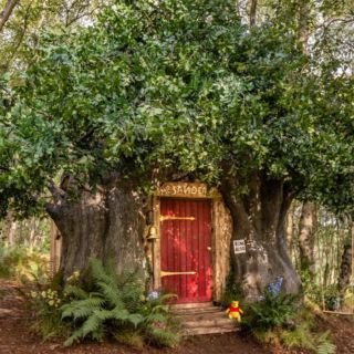 Conoce la Casa de Winnie The Pooh y hospédate en ella con tu familia