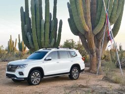 La RX8 posa junto a unos sahuaros de 400 años de antigüedad en Sonora, lugar donde pudimos probar esta nueva SUV en México. EL INFORMADOR/M. Castillo