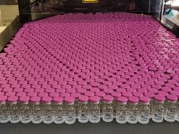 Se trata de la entrega número 40 que llega a Jalisco con 214 mil 800 dosis del laboratorio AstraZeneca, 77 mil 220 de la farmacéutica Pfizer y 222 mil 280 de CanSino. AFP / ARCHIVO