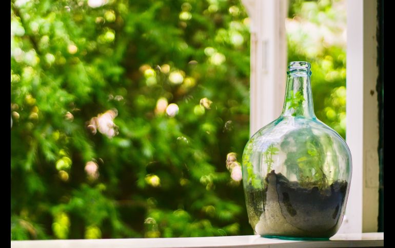 UNSPLASH/SVEN BRANDSMA