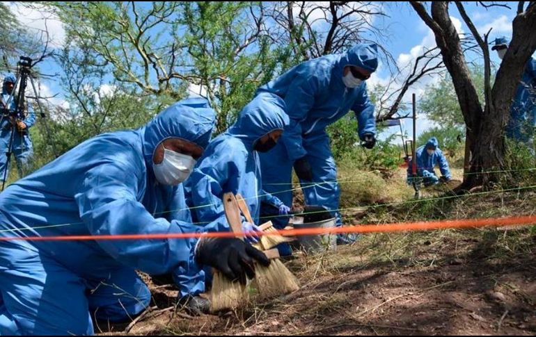 Un grupo de búsqueda de Puerto Peñasco, donde se han encontrado otros cadáveres, colaboró en las tareas de búsqueda. EFE/ARCHIVO