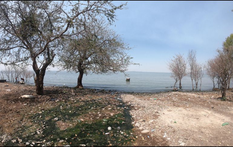 El Lago de Chapala fue una de las zonas con mayor captación de agua, señala Conagua. EL INFORMADOR