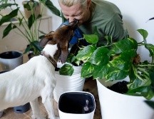 UNSPLASH/VADIM KAIPOV