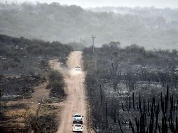 Hay un total de tres víctimas. AFP/ L. Lescano