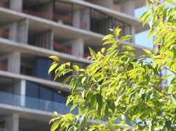 La Canadevi destacó que el monto de créditos hipotecarios otorgados por la banca comercial está 9.4% por arriba que en agosto de 2020. EL INFORMADOR/ARCHIVO