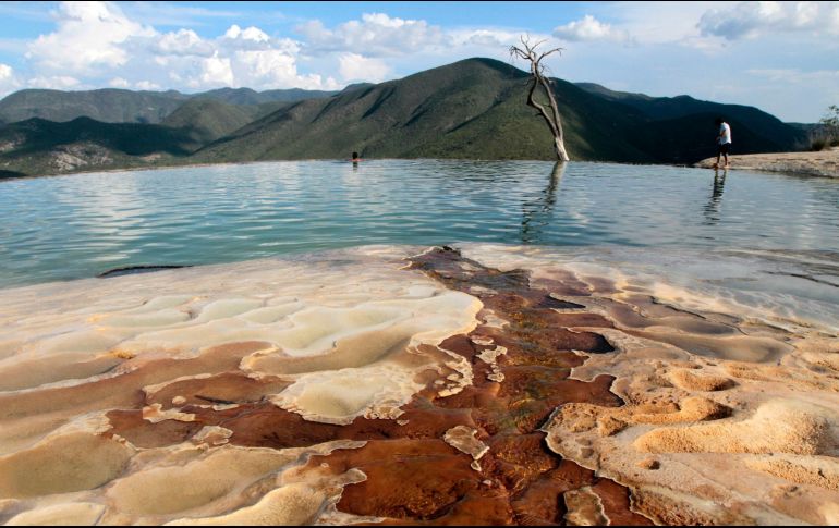 La bioluminiscencia es un fenómeno producido por microorganismos que emiten luz cuando se sienten atacados. NOTIMEX / ARCHIVO