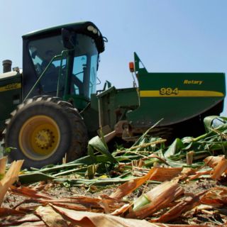 Plan Maíz por México busca asegurar el futuro