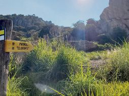 El sendero de “El Diente” en Zapopan es uno de los más recomendados para recorrer. ESPECIAL/Senderos de México