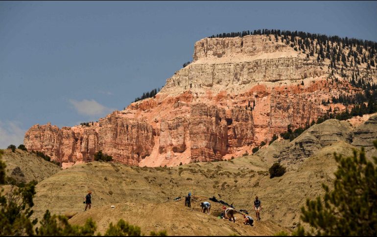 Las condiciones climáticas y geológicas de la zona de Staircase han permitido hallar los restos fósiles mejor conservados de dinosaurios en el mundo. AFP/P. Fallon