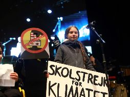 Thunberg y los otros activistas, que tenían entre 8 y 17 años cuando presentaron la denuncia, sostenían que esos cinco países habían violado la Convención de los Derechos del Niño de la ONU. EFE / ARCHIVO